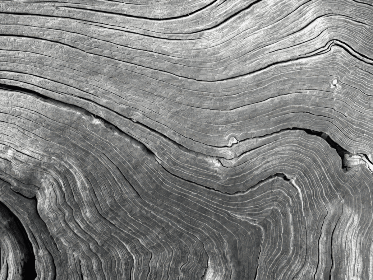 Wood grain texture