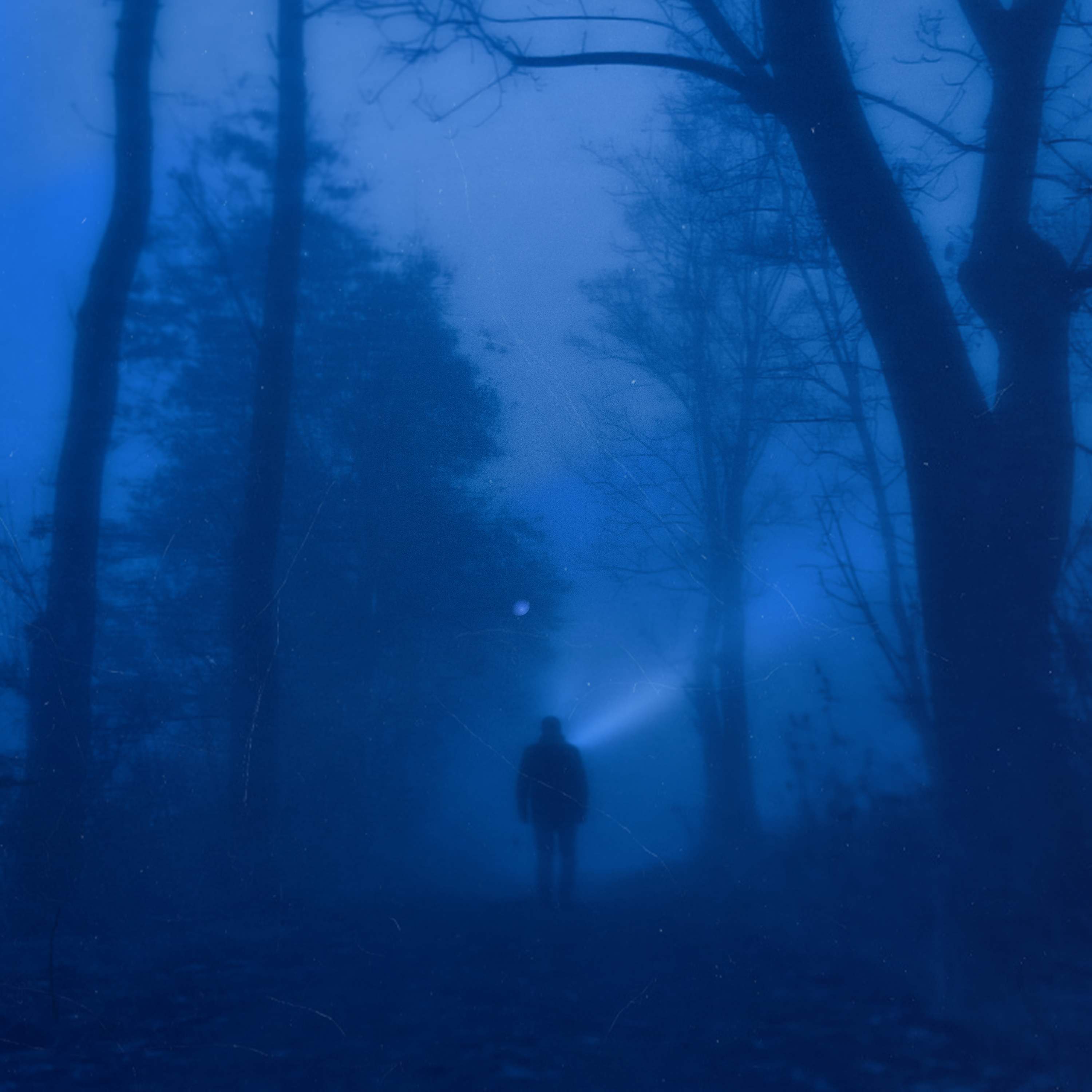 LYR ΛMBIENT - cycles