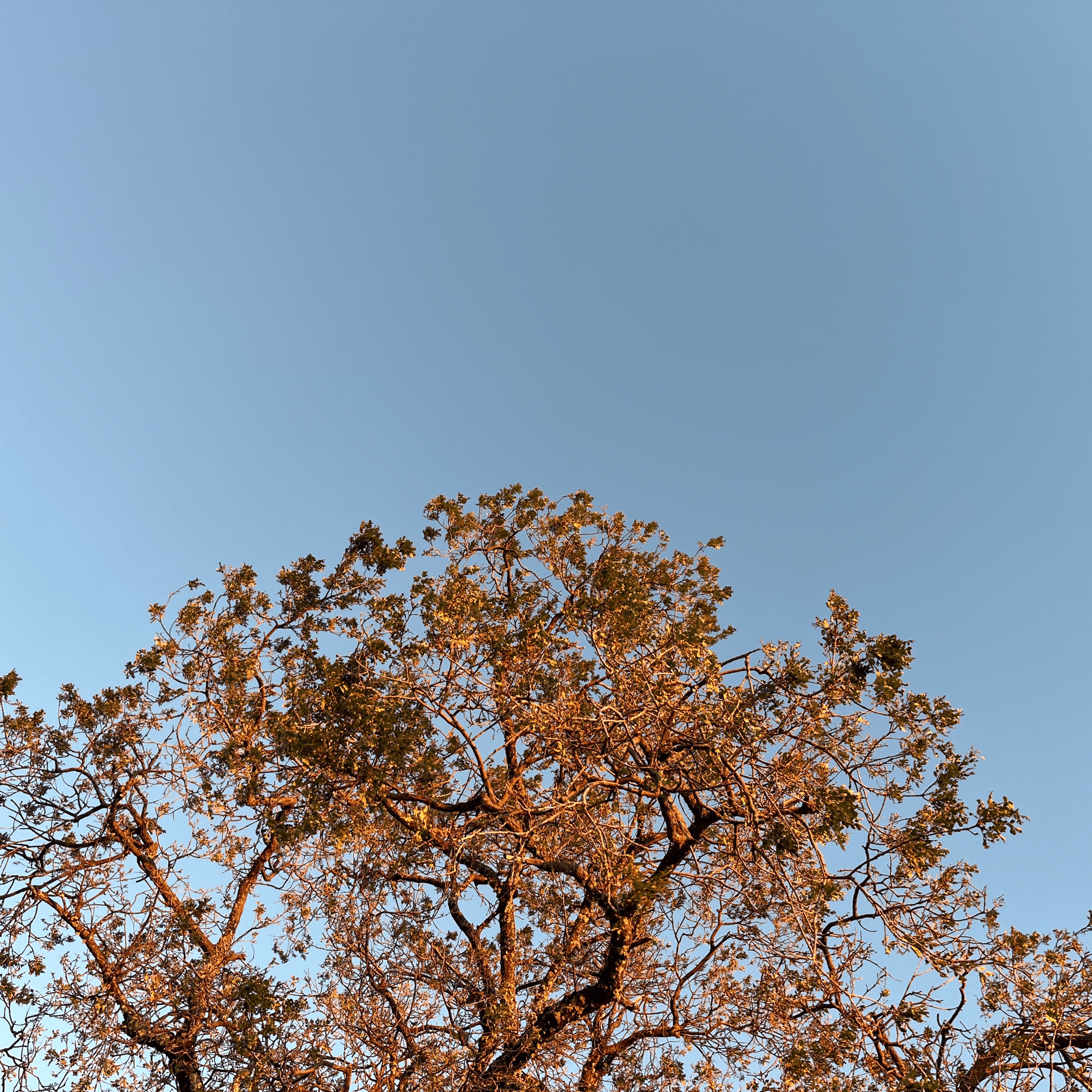 NASH HAWKINS - Help You Breathe